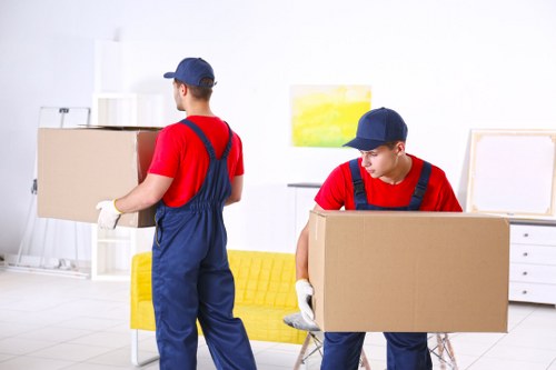 Man With Van Longlands service helping with an efficient home move