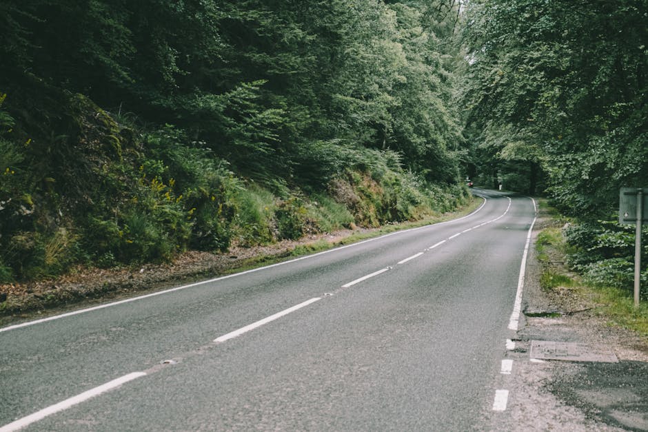 A two-lane rural road with dashed white centre lines, surrounded by dense green foliage and trees on both sides. The asphalt surface appears smooth, with a slight curve ahead. On the right side, there is a narrow shoulder with some grass and a small metal utility cover. The scene is lit naturally, indicating daytime with overcast or partly cloudy weather. This setting depicts a quiet, scenic route suitable for transportation or travel, relevant to house removals and moving logistics discussed in the Longlands Road moving guide. Occasionally, Man with Van Longlands may coordinate transport through local routes like this during home relocation or furniture transport processes, where careful navigation and access are essential.